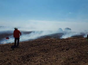 Fl&auml;chenbrand