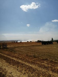 Fl&auml;chenbrand