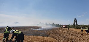 Fl&auml;chenbrand