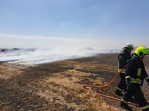 Fl&auml;chenbrand