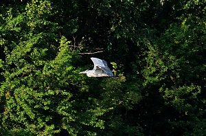 Peter Blei unterwegs am Stausee Kelbra