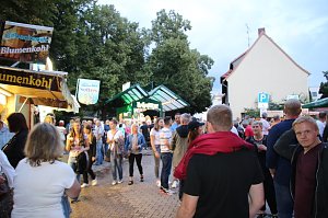Das 25. Altstadtfest - der Freitag