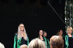 25. Altstadtfest