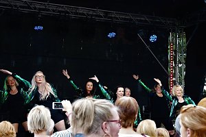 25. Altstadtfest