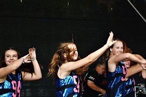 25. Altstadtfest