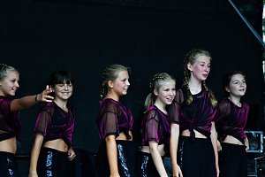 25. Altstadtfest