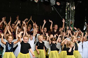 25. Altstadtfest