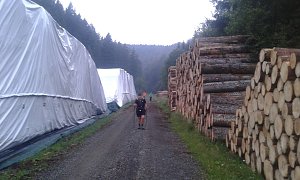 Zum zehnten Mal &uuml;ber den ganzen Harz