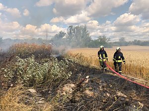 Flächenbrand