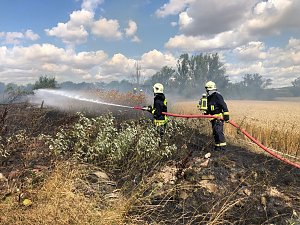 Flächenbrand