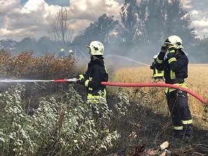 Flächenbrand