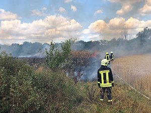 Flächenbrand
