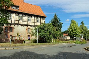 Baumpflege mit Kran