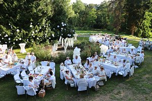 Diner en blanc im Park Hohenrode