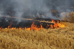 Feldbrand bei Hesserode