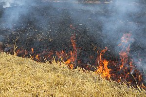 Feldbrand bei Hesserode