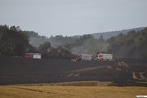Fl&auml;chenbrand bei Hesserode