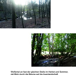 Bilder aus Rodishain
