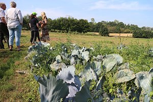 Ein Besuch beim &ouml;kologischen Gartenbau in Salza