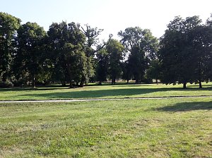 Wie mehr f&uuml;r, Insekten und Umwelt tun?