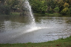 Schnelle und unkomplizierte Hilfe f&uuml;r den Parkteich