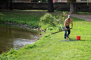 Weitere Hilfe f&uuml;r den Parkteich