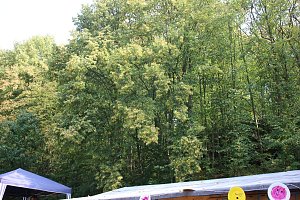 20 Jahre Abenteuerspielplatz