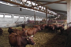 Archetierschau auf der Forstfarm