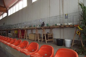 Archetierschau auf der Forstfarm