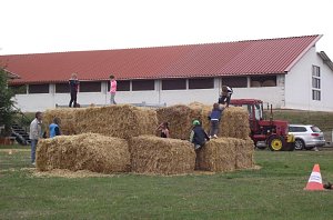 Archetierschau auf der Forstfarm