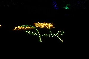 Lichterfest 2019 auf dem Nordh&auml;user Petersberg