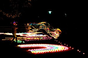 Lichterfest 2019 auf dem Nordh&auml;user Petersberg
