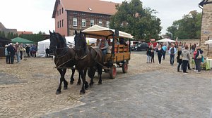 Impressionen vom 3. Klosterfest in M&ouml;nchpfiffel