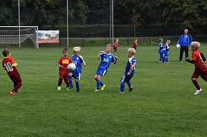 wacker u8
