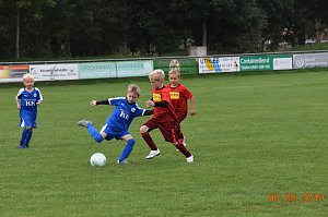 wacker u8