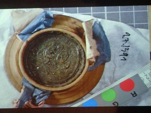 Vortrag zu historischem Sensationsfund