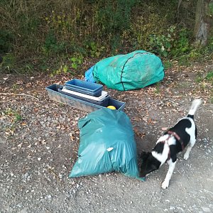 Entsorgter M&uuml;ll im Gumpeweg