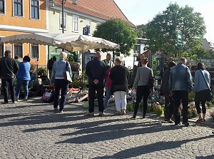Pflanzen und Menschen in H&uuml;lle und F&uuml;lle