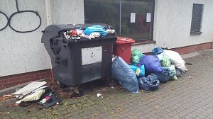 Müllinseln an der Salza
