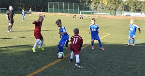 wacker u8