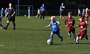 wacker u8