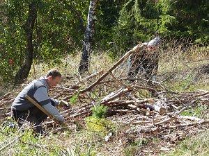 1.000 Stecklinge müssen in die Erde