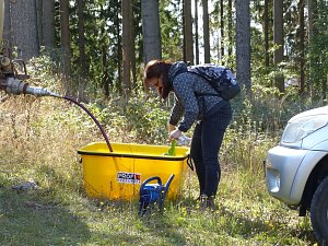 1.000 Stecklinge müssen in die Erde