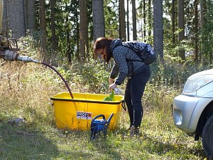 1.000 Stecklinge müssen in die Erde