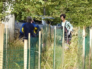 1.000 Wei&szlig;tannen gepflanzt