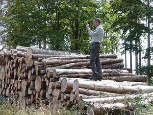 1.000 Wei&szlig;tannen gepflanzt