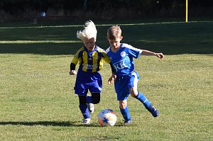 Wacker U8