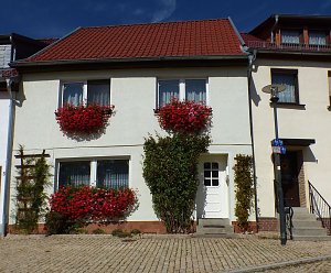 Gro&szlig;e Beteiligung am  25. "Frankenh&auml;user Blumensommer" 2019