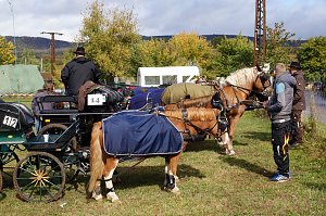 Südharz Rallye für Pferdegespanne