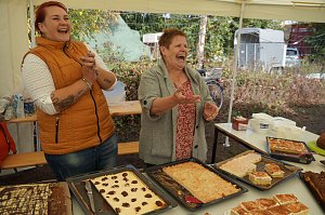 Südharz Rallye für Pferdegespanne